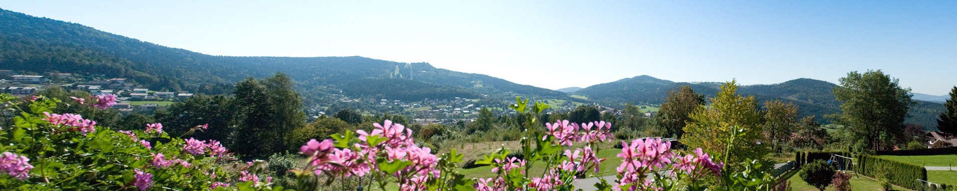 Ferienhaus Bergwald, Bodenmais - Bayerischer Wald - Urlaub in Bayern